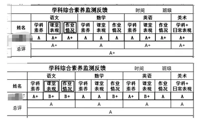 小学生综合素质评价实践研究