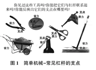 浅议如何聚焦科学提问的有效性提升科学论证的精准度