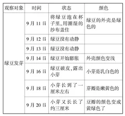 运用“四度六步”教学法指导中年段习作教学的实践与感悟