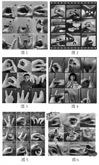 情境图和手指操在汉语拼音教学中的运用