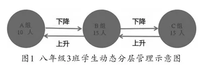 城郊初中学校数学分层教学实践探究1
