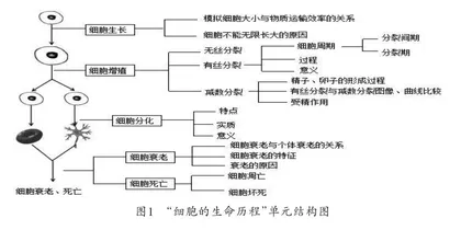 基于“教-学-评”一体化的高中生物单元主题教学
