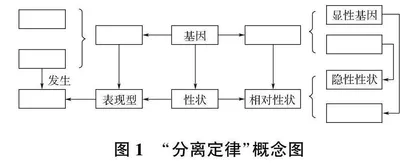 信息可视化背景下图文转换之提升高中学生生物表达能力的研究