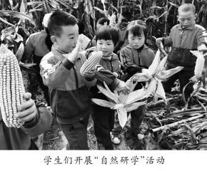 让教育回归本真