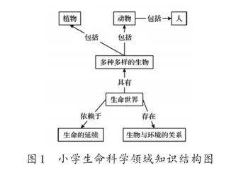 对小学生命科学拓展性课程的探索