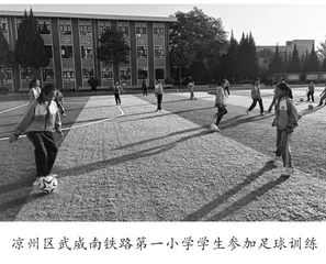 校园足球踢出阳光幸福童年2