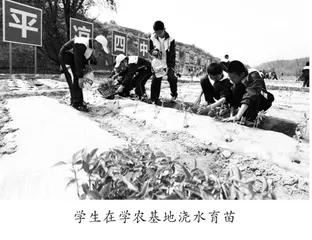 坚持五育融合 培育时代新人1