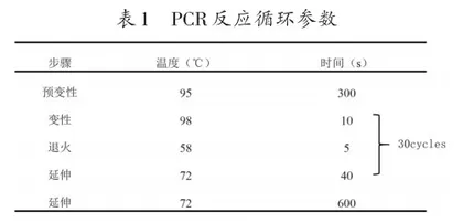 “DNA片段的扩增及电泳鉴定”实验探讨