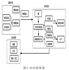高中生物概念教学例析1