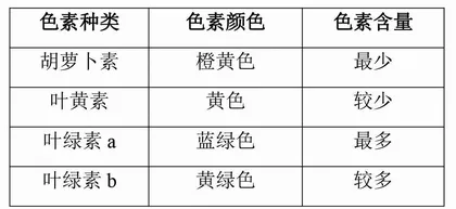 谈核心素养视域下高中生物实验探究教学1