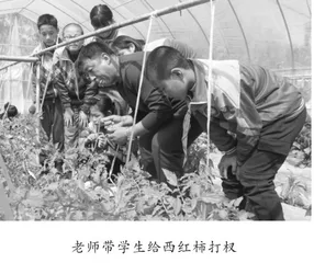 会宁教育的嬗变1