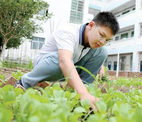 基于核心素养下初中劳动教育的实践探索