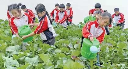 “四联”驱动，架起劳动美之桥