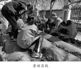 心有光芒 必有远“芳”