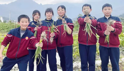 播美德之种发智育之芽开美育之花 