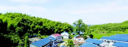 把根留住