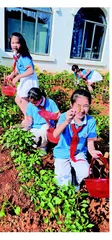 阳光教育绽风采