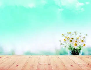 在时间的夹缝里开花