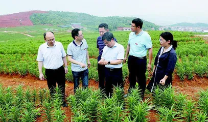 教育之光照亮红色热土