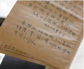 “老阿姨”的“遗产”