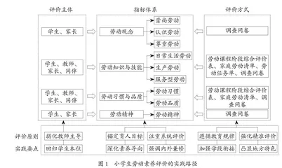 小学生劳动素养评价的原则与体系优化