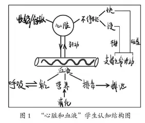 思维型科学课论证活动的有效支持策略