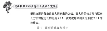 小学数学教材语言的儿童化理解