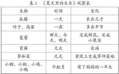 基于整体视角的小学语文语段教学三重转向