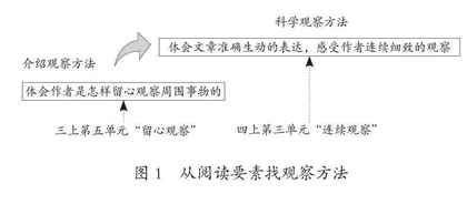 小学语文中年级观察表达单元教学的四维进阶