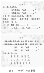 小学低段语文分层作业设计与实施策略