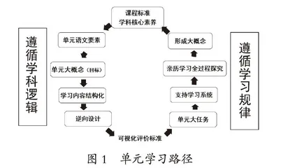 “可见的学习”理念下的单元教学重构