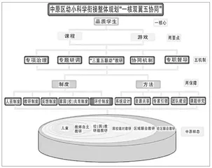 开展区域联合教研，促进幼小科学衔接