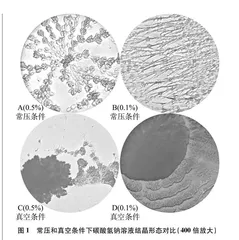 真空条件下碳酸氢钠结晶形态的实验探究