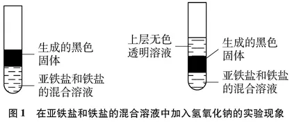 氢氧化亚铁被氧化生成红褐色固体现象的探究