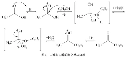 对酯化反应机理的再认识
