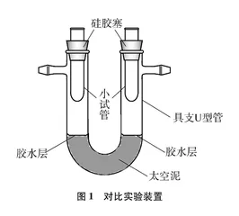 具支U型管与小试管组合装置进行对比实验的尝试