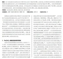 跨学科设计氢氧化亚铁制备实验