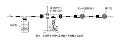 基于科学探究与实践素养发展的教学活动设计与实施
