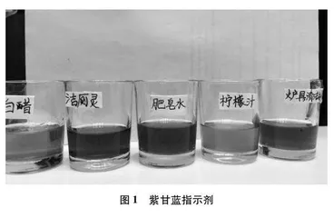 基于科学思维培养的初中化学教学探索0