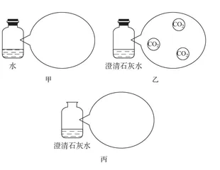 应用微观示意图探究初中生对化学反应的认识