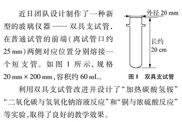 用双具支试管设计新的实验装置及其应用