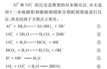 双水解反应的可视化创新实验设计
