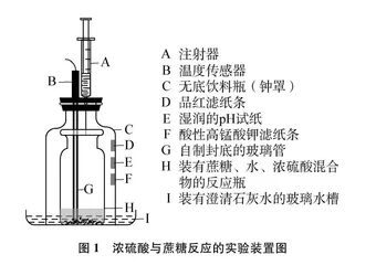 浓硫酸脱水性和氧化性实验的简易装置设计
