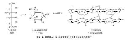 秸秆纸制备及其变色实验的探究