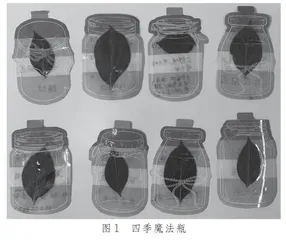 叶子的四季
