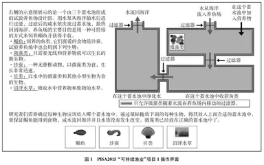 大规模计算机交互式测评中科学探究能力表现的实证研究