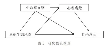 累积生态风险对留守高中生自杀意念的影响：生命意义感和心理痛楚的链式中介作用