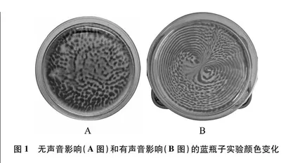 探究声音对蓝瓶子实验现象的影响