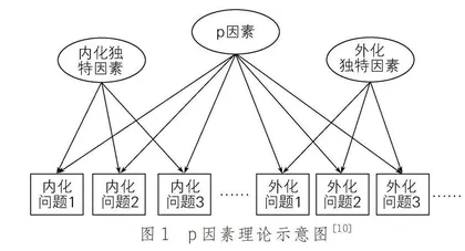 儿童青少年情绪和行为问题共患状况及防治对策