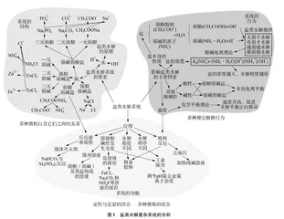 基于系统思维培养的“盐类水解”内容分析与教学建议